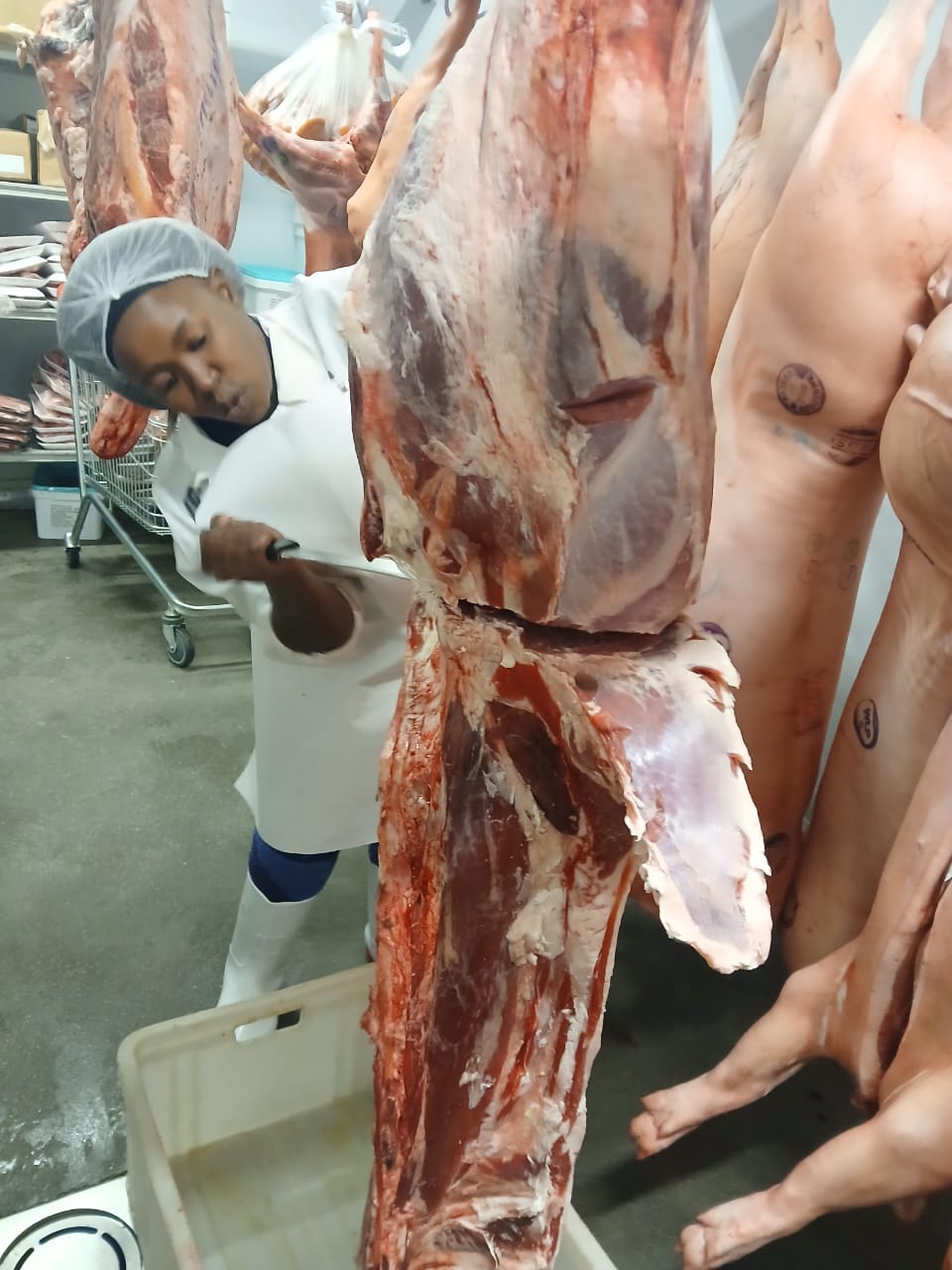 Primal cuts